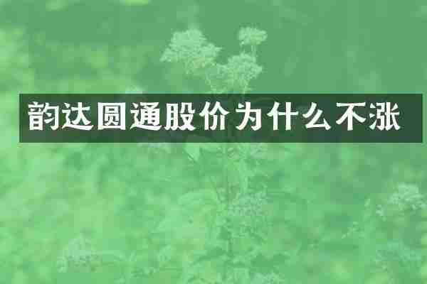 韵达圆通股价为什么不涨