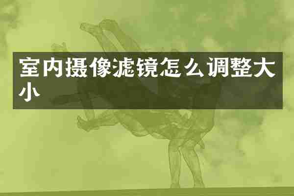 室内摄像滤镜怎么调整大小