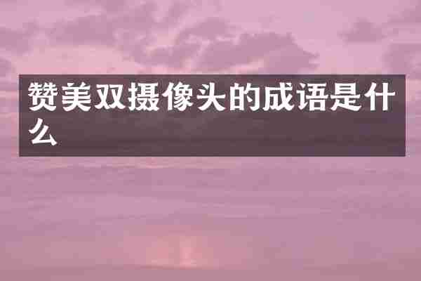 赞美双摄像头的成语是什么
