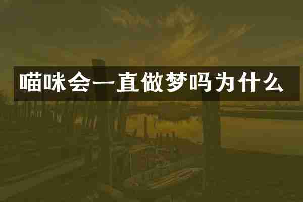 喵咪会一直做梦吗为什么
