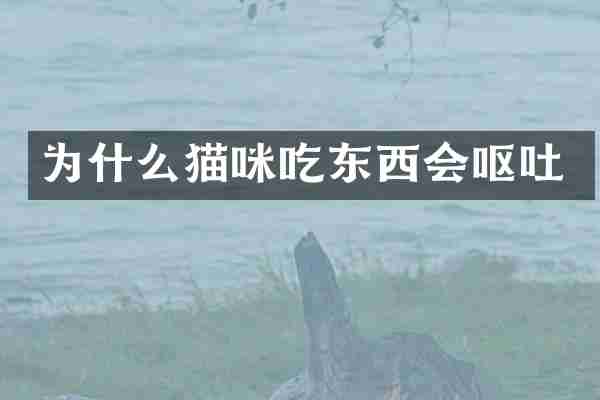 为什么猫咪吃东西会呕吐