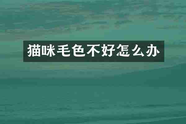 猫咪毛色不好怎么办