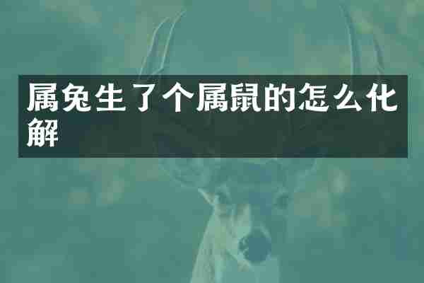 属兔生了个属鼠的怎么化解