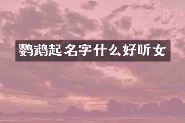 鹦鹉起名字什么好听女