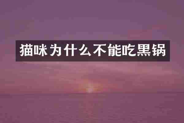 猫咪为什么不能吃黑锅