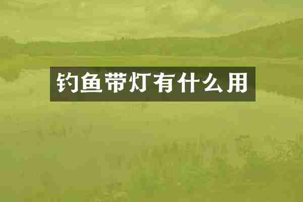 钓鱼带灯有什么用