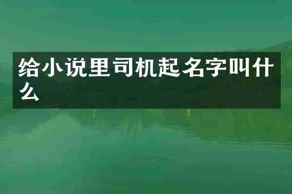 给小说里司机起名字叫什么