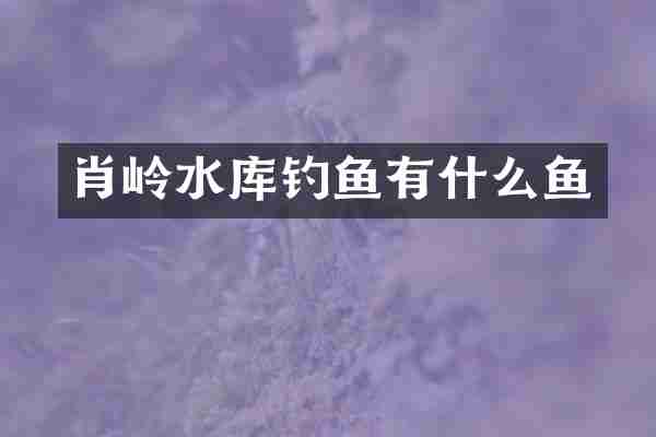 肖岭水库钓鱼有什么鱼