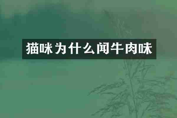 猫咪为什么闻牛肉味