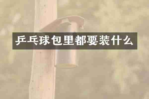乒乓球包里都要装什么