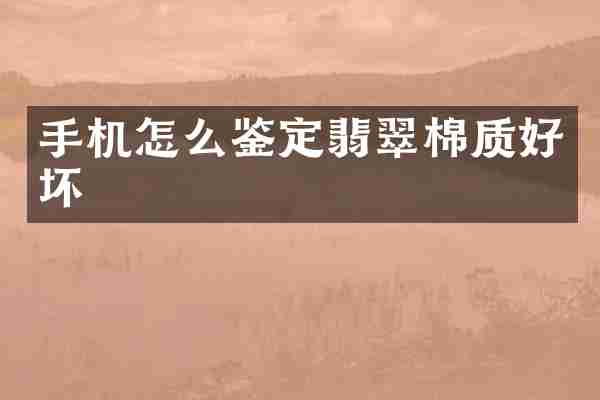 手机怎么鉴定翡翠棉质好坏