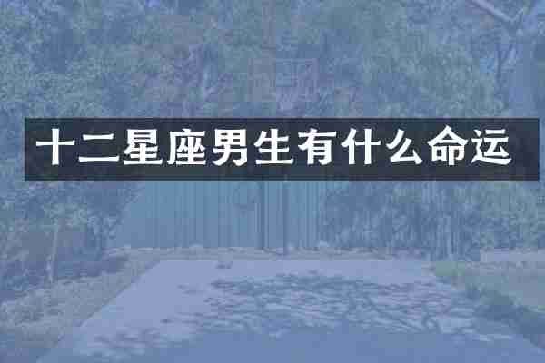 十二星座男生有什么命运