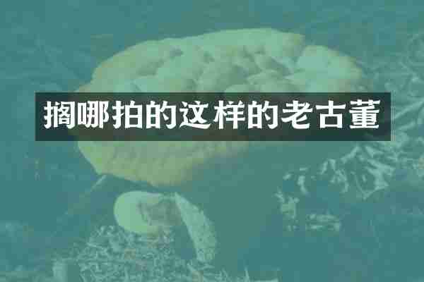 搁哪拍的这样的老古董