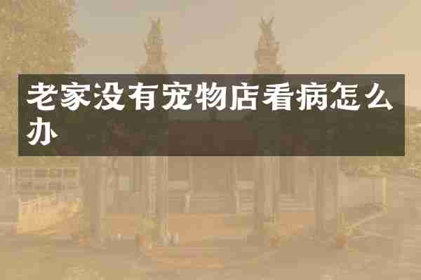 老家没有宠物店看病怎么办