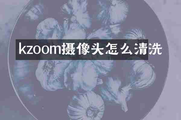 kzoom摄像头怎么清洗