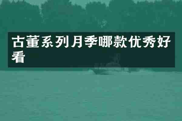 古董系列月季哪款优秀好看