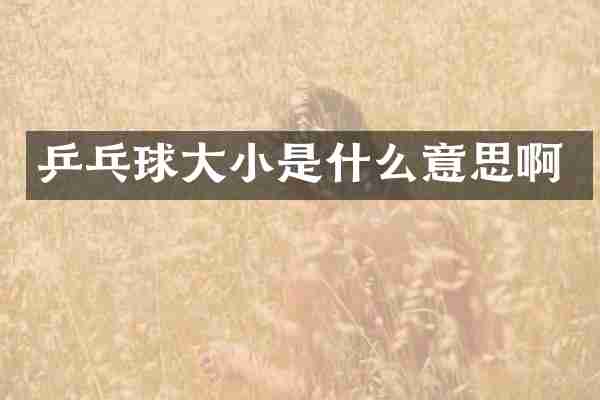 乒乓球大小是什么意思啊