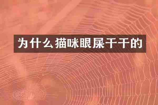 为什么猫咪眼屎干干的