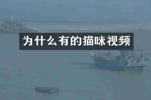 为什么有的猫咪视频