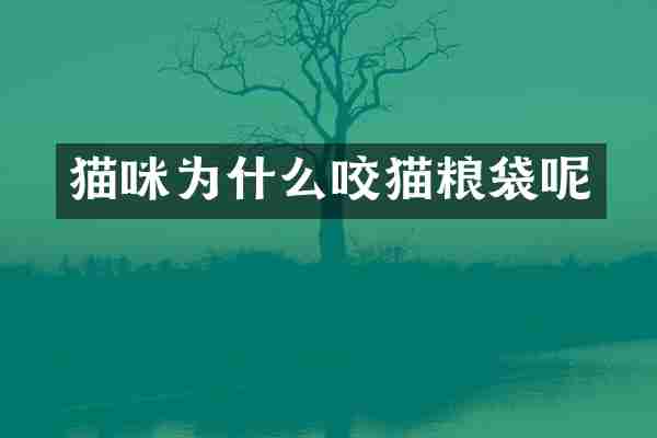 猫咪为什么咬猫粮袋呢