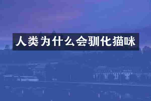 人类为什么会驯化猫咪