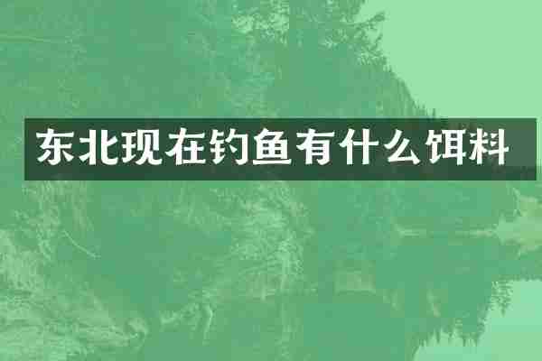 东北现在钓鱼有什么饵料