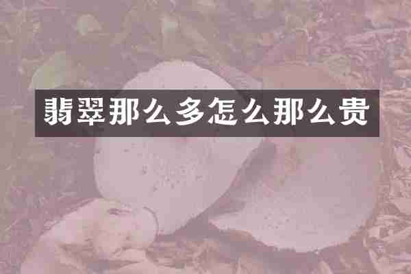 翡翠那么多怎么那么贵