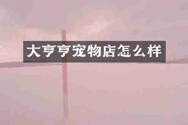 大亨亨宠物店怎么样