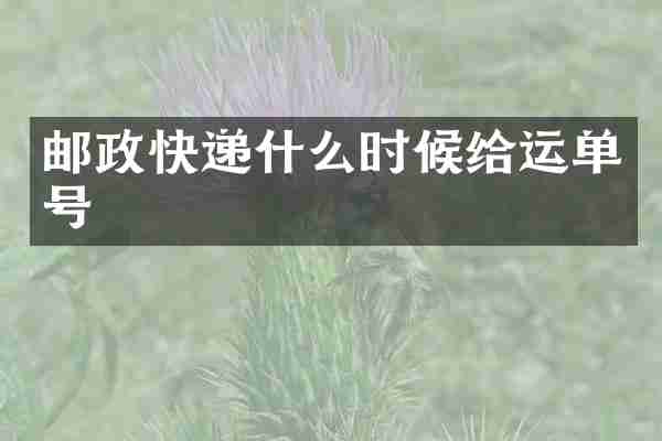 邮政快递什么时候给运单号