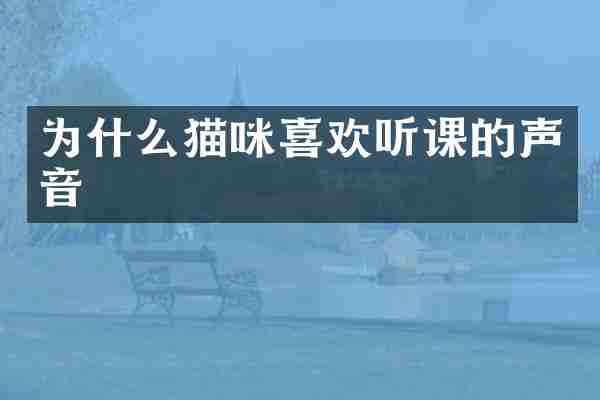 为什么猫咪喜欢听课的声音