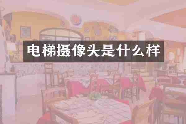 电梯摄像头是什么样