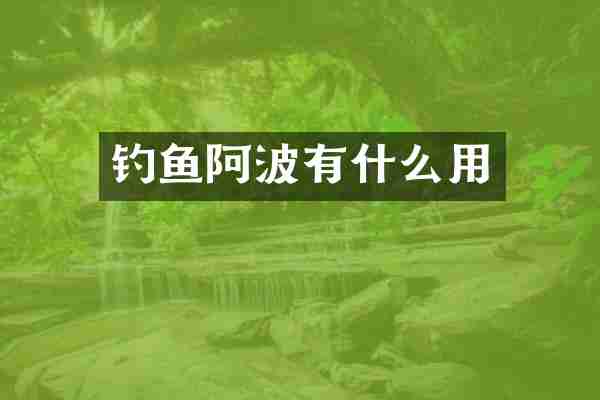 钓鱼阿波有什么用