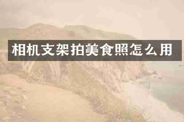 相机支架拍美食照怎么用