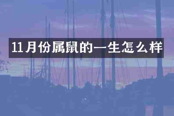 11月份属鼠的一生怎么样