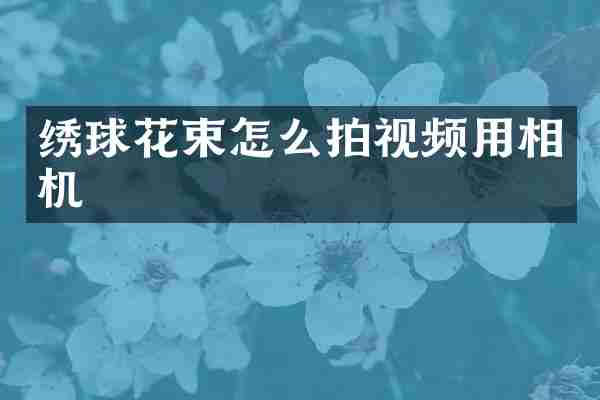 绣球花束怎么拍视频用相机