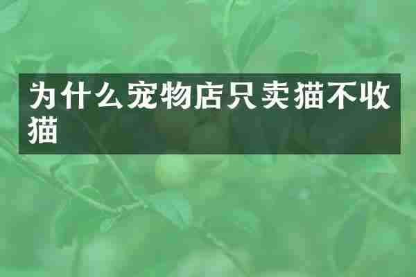 为什么宠物店只卖猫不收猫