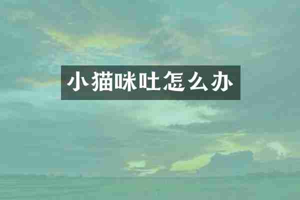 小猫咪吐怎么办
