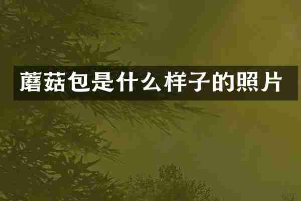蘑菇包是什么样子的照片