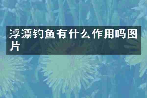浮漂钓鱼有什么作用吗图片
