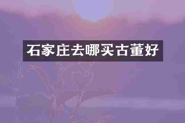 石家庄去哪买古董好