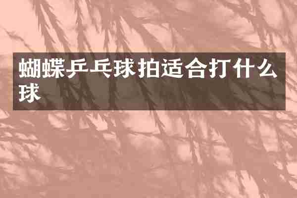 蝴蝶乒乓球拍适合打什么球