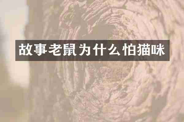 故事老鼠为什么怕猫咪