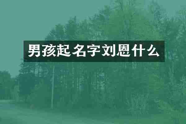 男孩起名字刘恩什么