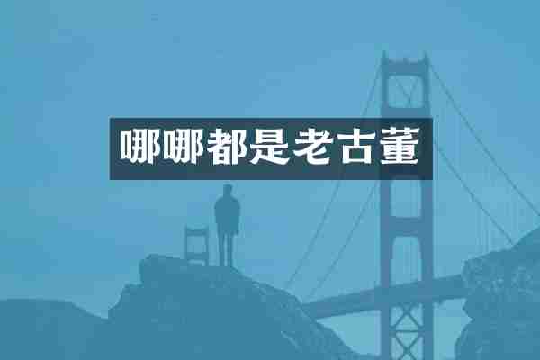 哪哪都是老古董