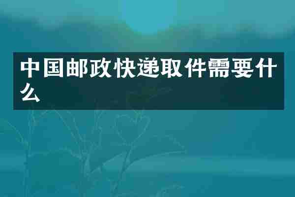 中国邮政快递取件需要什么