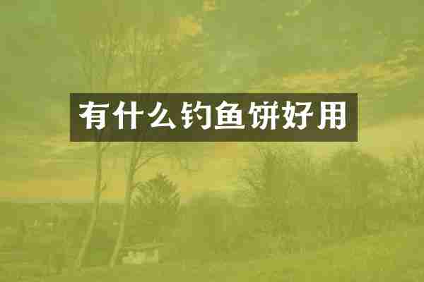 有什么钓鱼饼好用