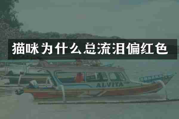 猫咪为什么总流泪偏红色