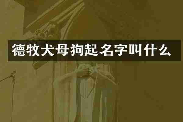 德牧犬母狗起名字叫什么