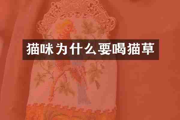 猫咪为什么要喝猫草