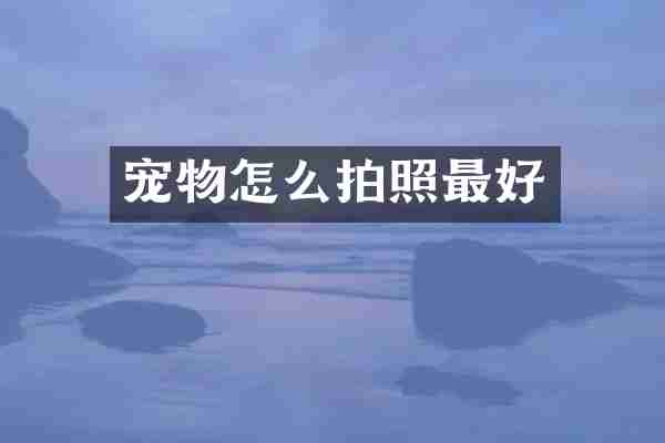 宠物怎么拍照最好
